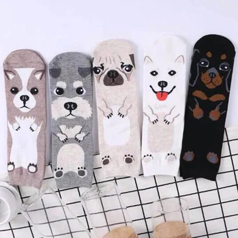 5 Pairs/pack Funny Cartoon Dog - Cotton Crew Sock Pack 리뷰 및 가격