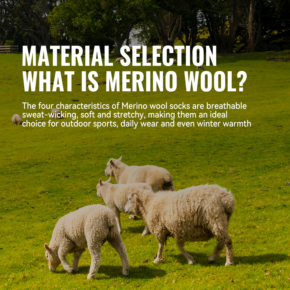 WRELS 1/2/3 Merino Wool Socks  - Wool Hiking Sock 리뷰 및 가격